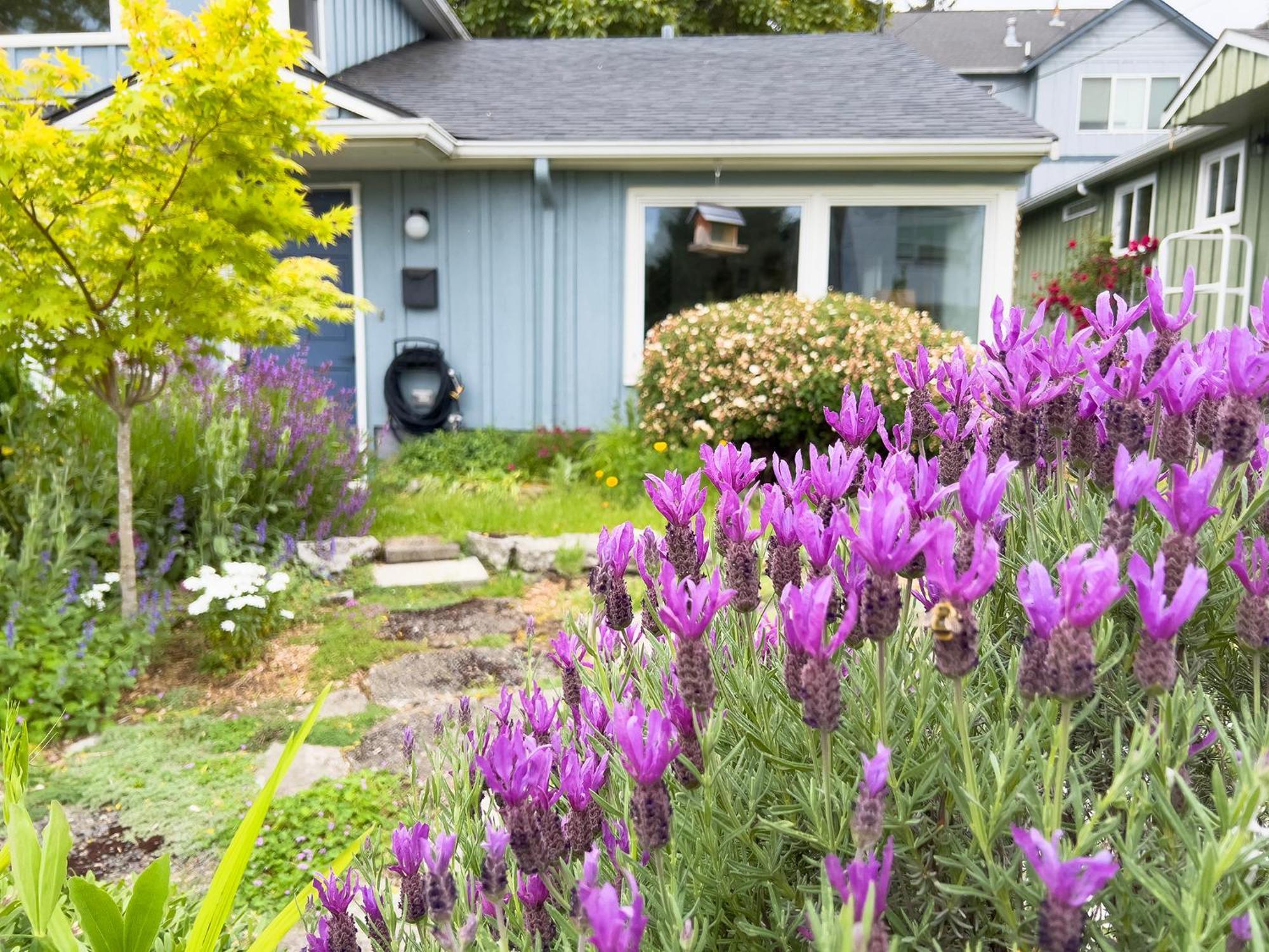 Magnolia Garden Cottage Seattle Exterior photo